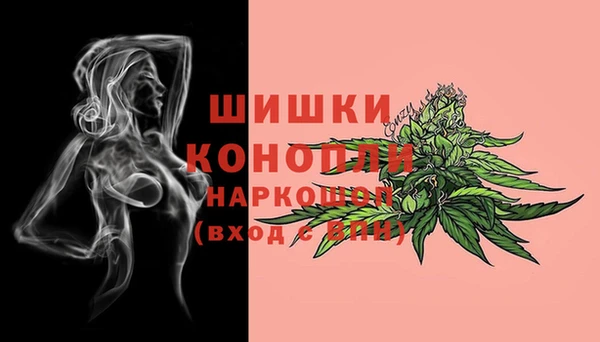 меф Арсеньев