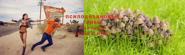 меф Арсеньев