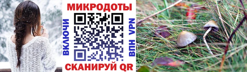 Галлюциногенные грибы Cubensis Миньяр